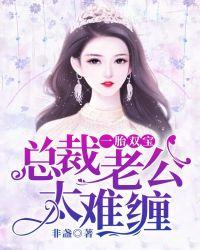 一胎双宝:总裁老公太难缠