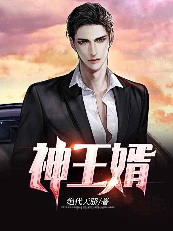 神王婿秦天正版免费阅读